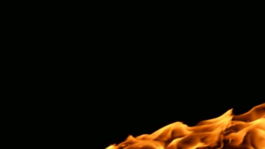 Autorecord Mar 1, 2026 12:05 PM